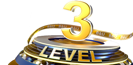 Level 3